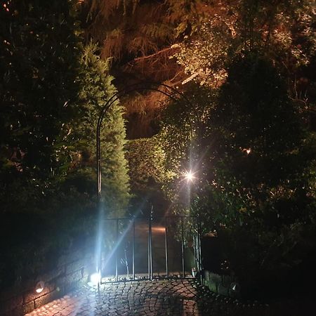 Rose'S Garden - Zona Tranquilla - Vicino Torino Appartement Pino Torinese Buitenkant foto