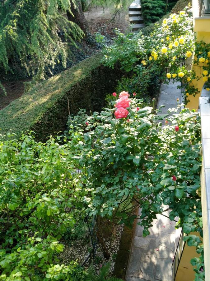 Rose'S Garden - Zona Tranquilla - Vicino Torino Appartement Pino Torinese Buitenkant foto
